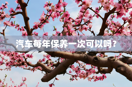 汽车每年保养一次可以吗？