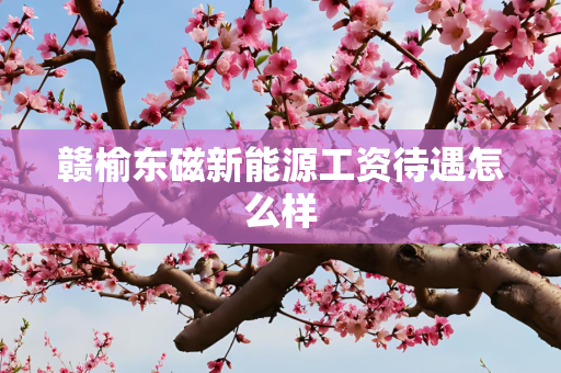 赣榆东磁新能源工资待遇怎么样