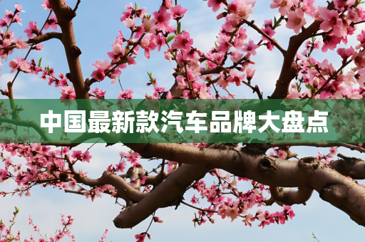 中国最新款汽车品牌大盘点