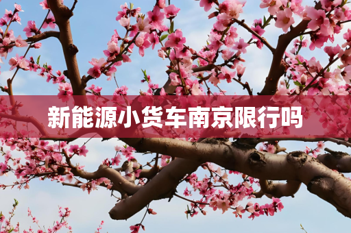 新能源小货车南京限行吗