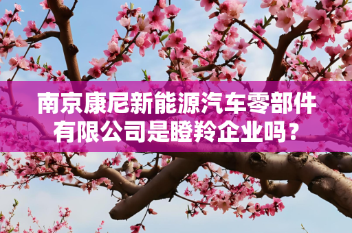 南京康尼新能源汽车零部件有限公司是瞪羚企业吗？
