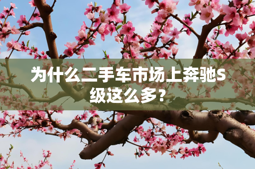 为什么二手车市场上奔驰S级这么多？