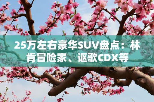 25万左右豪华SUV盘点：林肯冒险家、讴歌CDX等