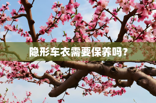 隐形车衣需要保养吗？