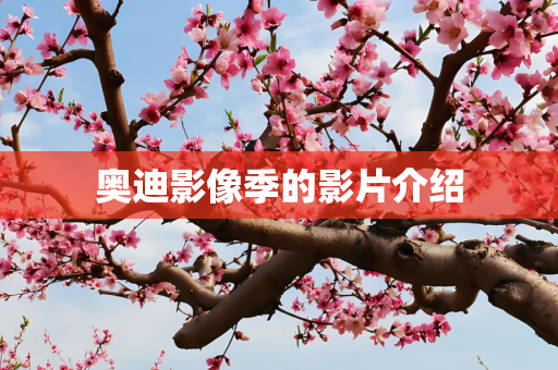 奥迪影像季的影片介绍