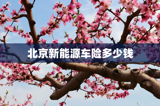 北京新能源车险多少钱