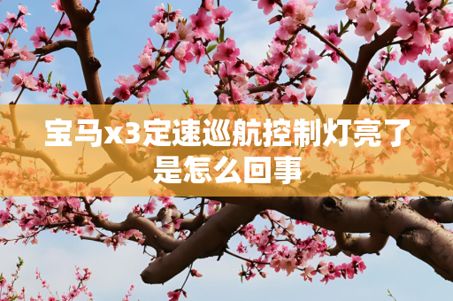 宝马x3定速巡航控制灯亮了是怎么回事