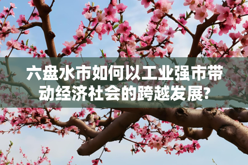 六盘水市如何以工业强市带动经济社会的跨越发展?