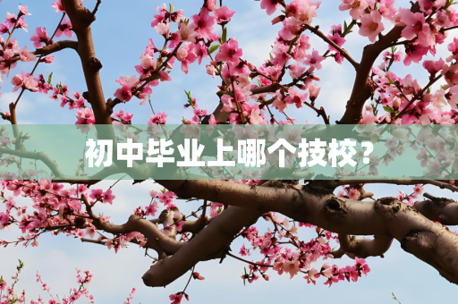 初中毕业上哪个技校？