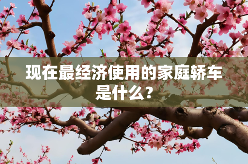 现在最经济使用的家庭轿车是什么？