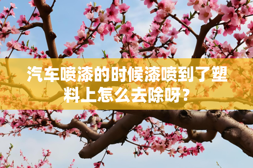 汽车喷漆的时候漆喷到了塑料上怎么去除呀？