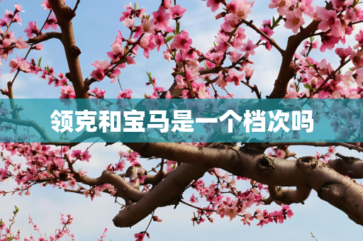 领克和宝马是一个档次吗