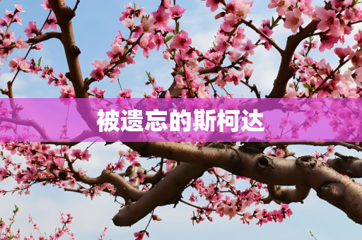 被遗忘的斯柯达