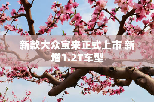 新款大众宝来正式上市 新增1.2T车型