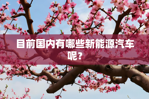 目前国内有哪些新能源汽车呢？