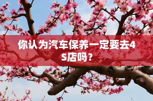 你认为汽车保养一定要去4S店吗？