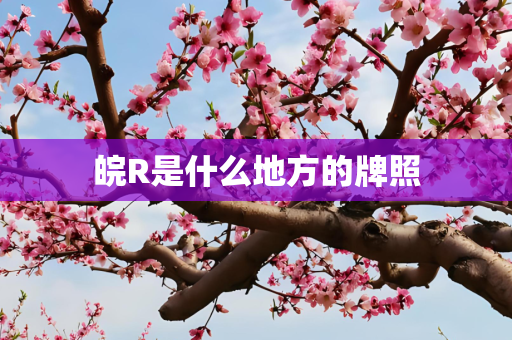 皖R是什么地方的牌照