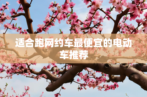 适合跑网约车最便宜的电动车推荐