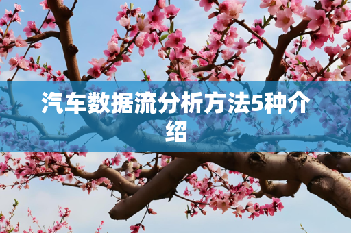 汽车数据流分析方法5种介绍