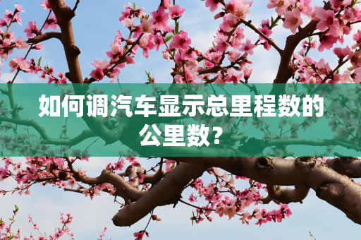 如何调汽车显示总里程数的公里数？