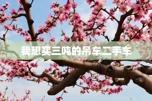 我想买三吨的吊车二手车