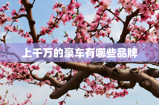 上千万的豪车有哪些品牌