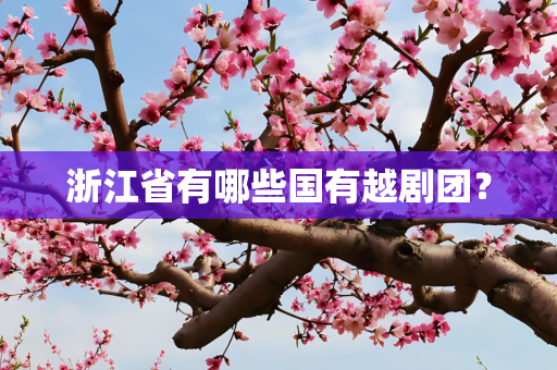 浙江省有哪些国有越剧团？