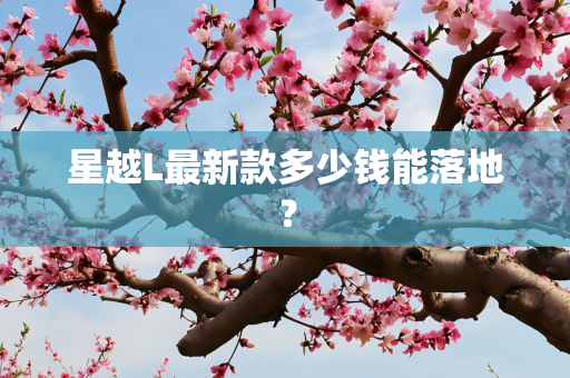 星越L最新款多少钱能落地？