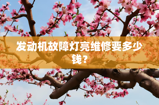 发动机故障灯亮维修要多少钱？