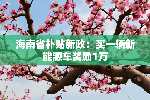 海南省补贴新政：买一辆新能源车奖励1万