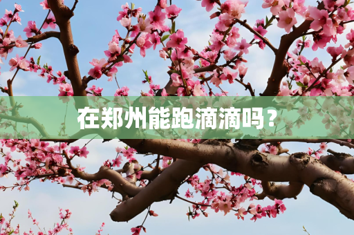 在郑州能跑滴滴吗？