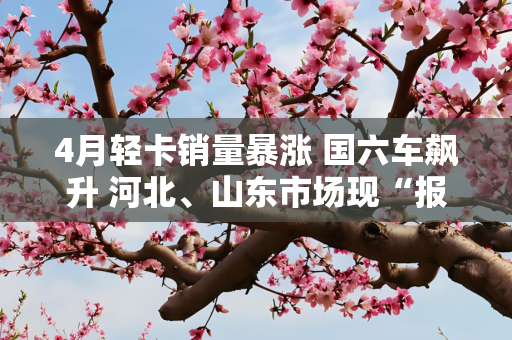 4月轻卡销量暴涨 国六车飙升 河北、山东市场现“报复式增长”？