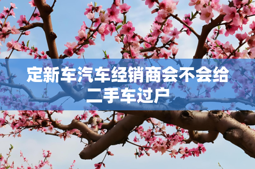 定新车汽车经销商会不会给二手车过户