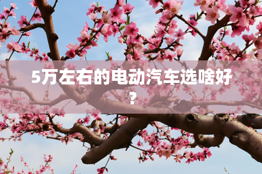 5万左右的电动汽车选啥好？