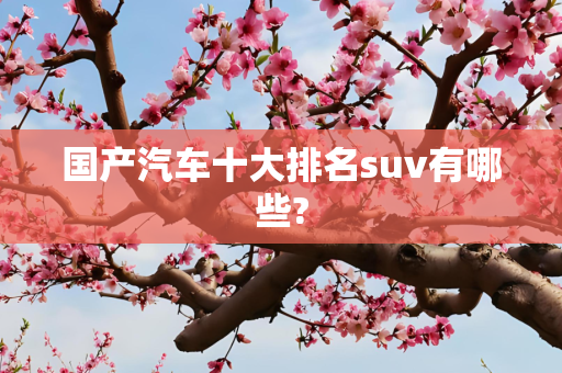国产汽车十大排名suv有哪些?