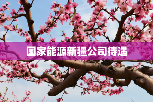 国家能源新疆公司待遇