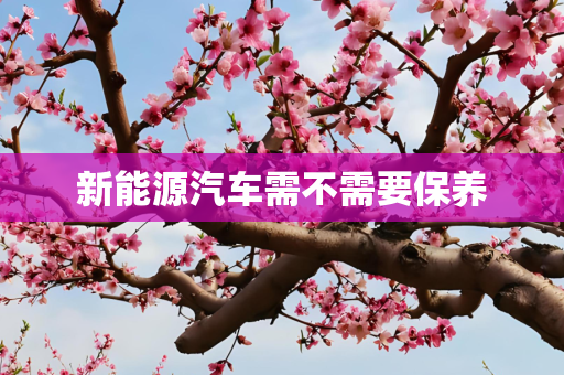 新能源汽车需不需要保养