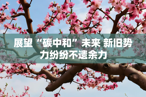 展望“碳中和”未来 新旧势力纷纷不遗余力