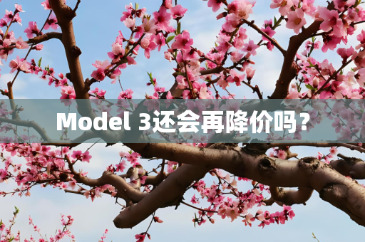 Model 3还会再降价吗？