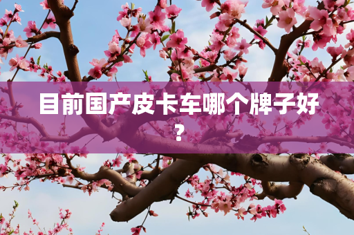 目前国产皮卡车哪个牌子好？