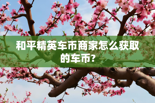 和平精英车币商家怎么获取的车币?