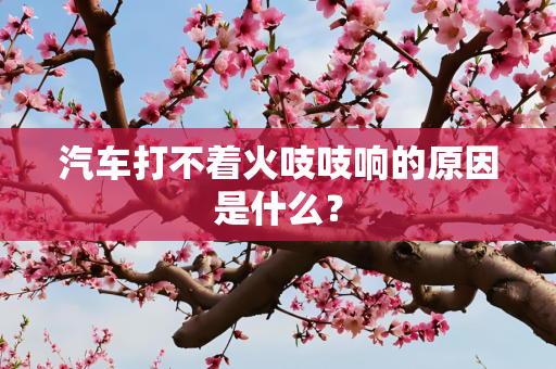汽车打不着火吱吱响的原因是什么？