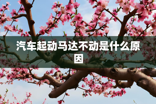 汽车起动马达不动是什么原因