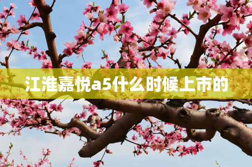 江淮嘉悦a5什么时候上市的