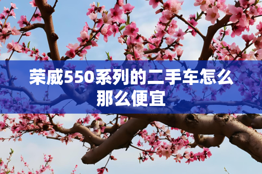 荣威550系列的二手车怎么那么便宜