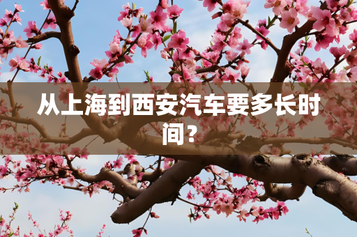 从上海到西安汽车要多长时间？