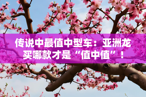 传说中最值中型车：亚洲龙买哪款才是“值中值”！