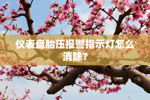 仪表盘胎压报警指示灯怎么消除？