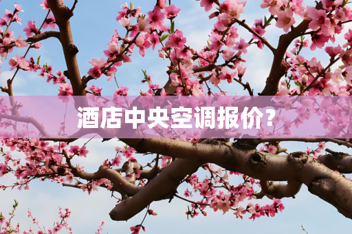 酒店中央空调报价？