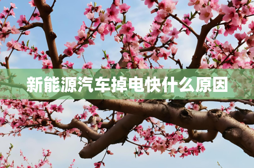 新能源汽车掉电快什么原因